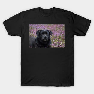 A Dog in the Flowers T-Shirt